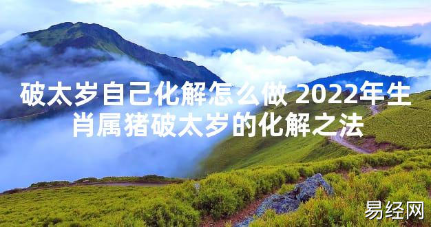 【太岁知识】破太岁自己化解怎么做 2024年生肖属猪破太岁的化解之法,最新太岁